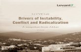 Drivers of Instability, Conflict and Radicalization