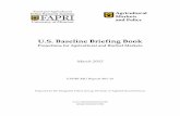 U.S. Baseline Briefing Book