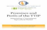 Download Promises and Perils of the TTIP