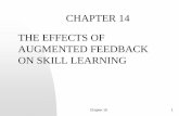 CHAPTER 14 THE EFFECTS OF AUGMENTED FEEDBACK ON ...