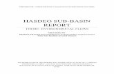 HASDEO SUB-BASIN REPORT
