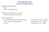 Transgenics (I): how to make them