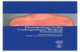 Dermatology in the Undergraduate Medical Curriculum