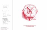 Clinical Neuroanatomy for Undergraduates