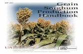 Grain Sorghum Handbook - MP297