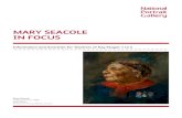 MARY SEACOLE IN FOCUS
