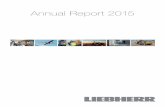 Annual Report 2015 (PDF, 9.4 MB)
