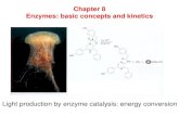 Chapter 8 Enzymes: basic concepts and kinetics Light production by ...