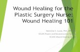 Wound Healing for the Plastic Surgery Nurse - Wound Healing 101