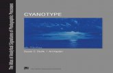 Cyanotype Process