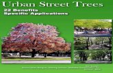 22 Benefits of Urban Street Trees by Dan Burden