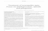 Treatment of neuropathic pain: Focus on antidepressants, opioids ...