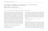 The Effect of Wildfire on Soil Mercury Concentrations in Southern ...