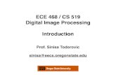 ECE 468 / CS 519 Digital Image Processing Introduction