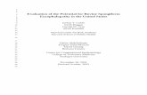 Evaluation of the Potential for Bovine Spongiform 4 Encephalopathy ...