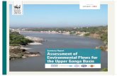 Summary Report ASSESSMENT OF ENVIRONMENTAL FLOWS ...