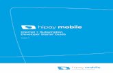 Internet + Subscription Developer Starter Guide - HiPay
