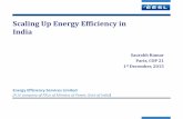 Scaling up Energy Efficiency in India