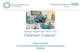 Ovarian Cancer, Mr Fateh Ghazel