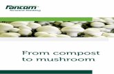 Overview Mushrooms.pdf (5 MB)