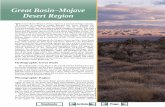 Great Basin--Mojave Desert Region