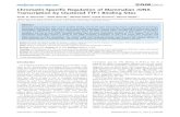 Chromatin-Specific Regulation of Mammalian rDNA Transcription by ...