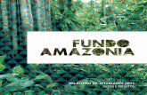 Relatório Anual do Fundo Amazônia 2011 - Caderno 2