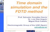 Time domain simulation and the FDTD method