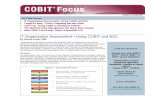 IT Organization Assessment—Using COBIT and BSC