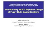 Evolutionary Multi-Objective Design of Fuzzy Rule-Based Systems