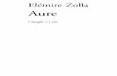 Elémire Zolla, Aure (pdf)