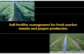 Soil fertility management for fresh market tomato and pepper ...