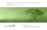 Assessment of resource efficiency in the food cycle