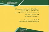Competition Policy and the WTO: Is there a need for a multilateral ...