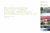 Benchmarking Electric Utility Energy Efficiency Portfolios in the U.S.