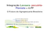 Integração Lavoura, pecuária, Floresta - ILPF: O futuro da Agricultura