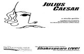 CAESAR JULIUS