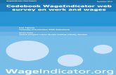 Codebook WageIndicator web survey on work and wages. Amsterdam