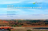 2015 China Carbon Pricing Survey - English