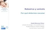Rotavirus y varicela