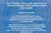 Key Concepts, Theory and Approaches to Chemical Mixture and ...