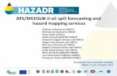 Download the Adriatic Forecasting System presentation