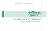Manuel des pratiques du crédit-bail au Maroc