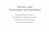 Genetic code, transcription and translation - unimi.it