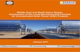 Middle East and North Africa Region Assessment of the Local ...
