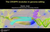 The CRISPR revolution in genome editing