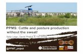 PPMS: Cattle and Pasture Production without the sweat by Sally Leigo