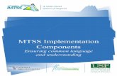 Multi-Tiered System of Supports (MTSS) Implementation Components