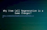 Why stem cell regeneration is a game changer?