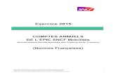 Comptes annuels de l'EPIC SNCF Mobilités - Exercice 2015
